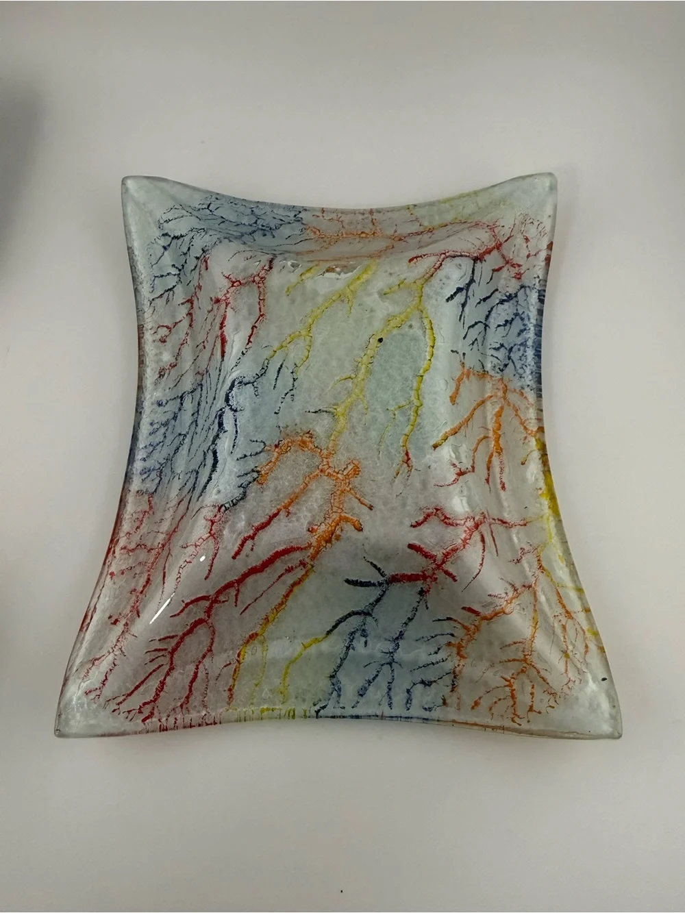 Glass Plate With Tropical Fish